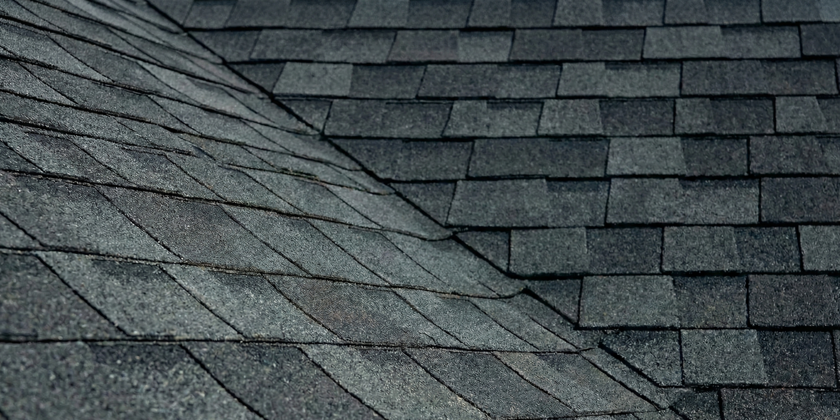 Professional Roofing Services